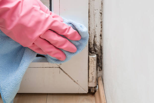 Best Emergency Mold Removal  in Matoaca, VA